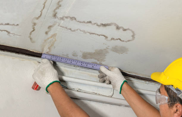 Reliable Structural Drying contractor in Belmont, OH by Water Damage Irwin